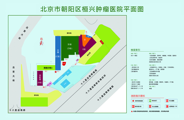 男生的鸡鸡戳入女生的鸡鸡软件北京市朝阳区桓兴肿瘤医院平面图